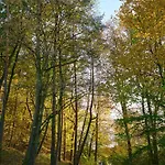 Villa Nad Jeziorem *